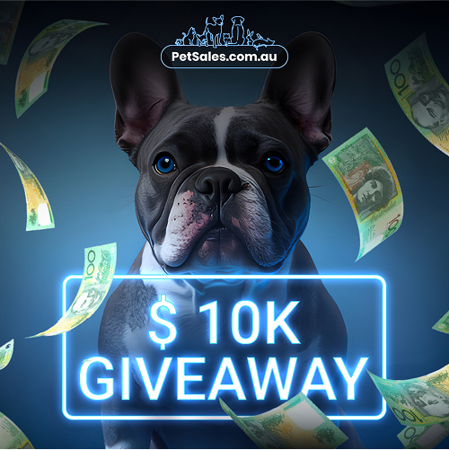 Giveaway Image